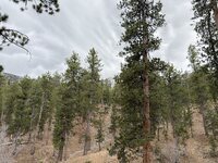An Afternoon at Mummy Mountain, Looking Southeast